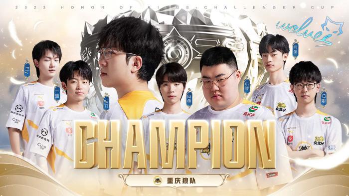 守门铁闸